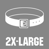 2X-Large